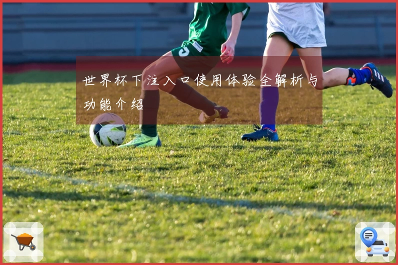世界杯下注入口使用体验全解析与功能介绍