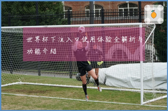 世界杯下注入口使用体验全解析与功能介绍