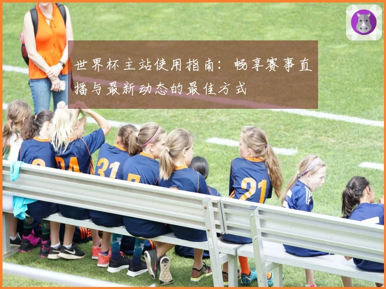 世界杯主站使用指南：畅享赛事直播与最新动态的最佳方式
