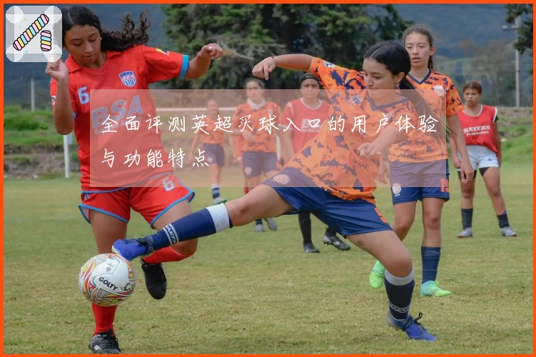 全面评测英超买球入口的用户体验与功能特点