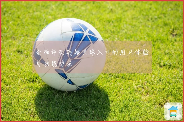 全面评测英超买球入口的用户体验与功能特点